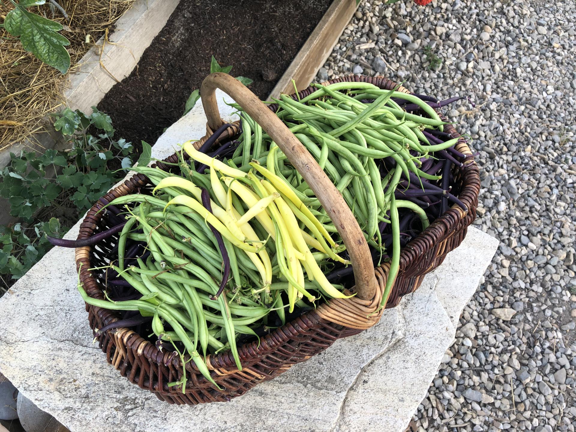 Ag montbojardin 2021 127 